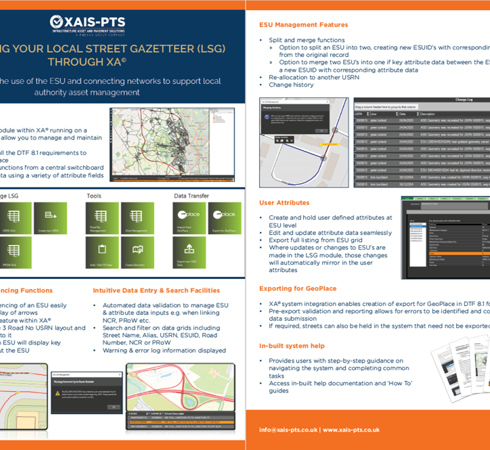 LSG system flyer